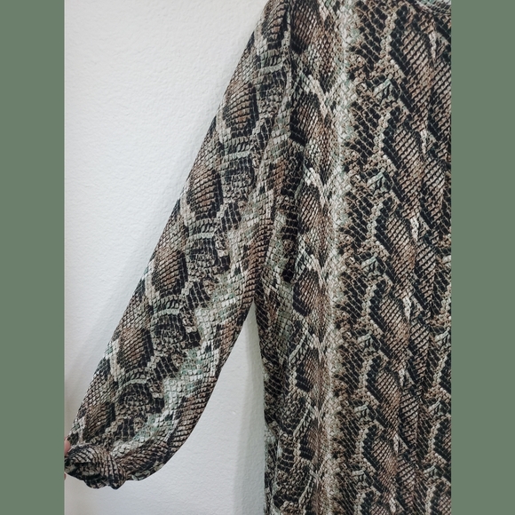 Cupcakes and Cashmere Clara Green Python Print Shirt Dress Sz Small - Picture 4 of 6